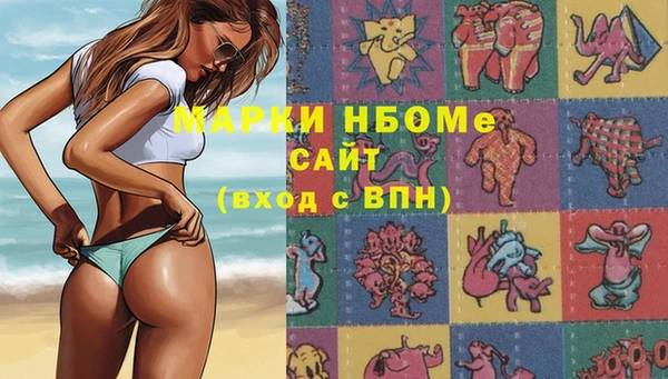 гашик Алзамай
